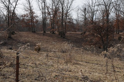 Property photo 48 - 745 Acres Offered in 16 Tracts
