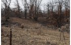 Property photo 48 - 745 Acres Offered in 16 Tracts