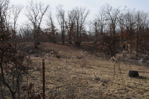 Property photo 91 - 745 Acres Offered in 16 Tracts
