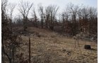 Property photo 91 - 745 Acres Offered in 16 Tracts