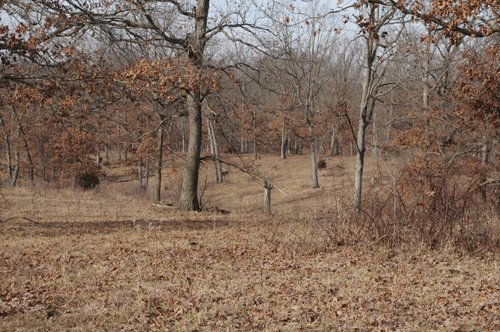 Property photo 5 - 745 Acres Offered in 16 Tracts