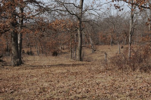 Property photo 107 - 745 Acres Offered in 16 Tracts