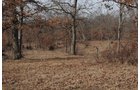 Property photo 107 - 745 Acres Offered in 16 Tracts