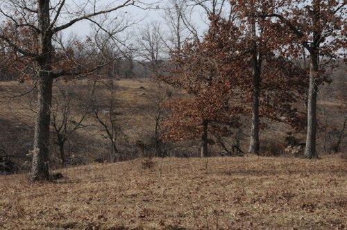 Property photo 94 - 745 Acres Offered in 16 Tracts