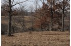 Property photo 94 - 745 Acres Offered in 16 Tracts
