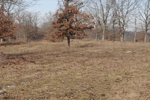 Property photo 46 - 745 Acres Offered in 16 Tracts