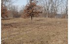 Property photo 46 - 745 Acres Offered in 16 Tracts