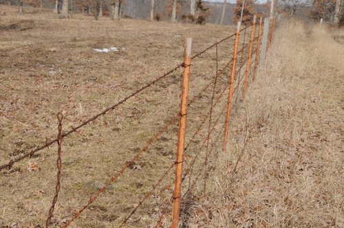 Property photo 167 - 745 Acres Offered in 16 Tracts