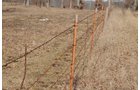 Property photo 167 - 745 Acres Offered in 16 Tracts