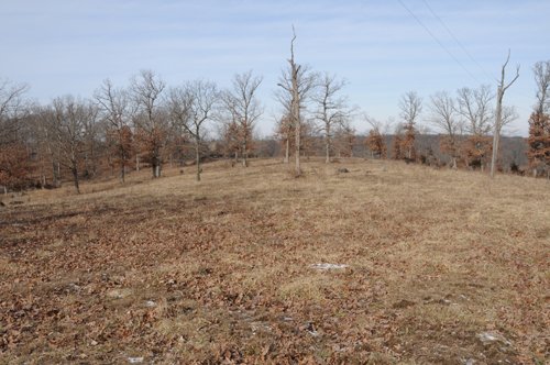 Property photo 13 - 745 Acres Offered in 16 Tracts
