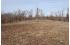 Property photo 13 - 745 Acres Offered in 16 Tracts