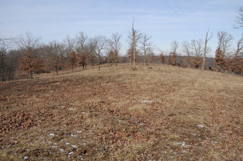 Property photo 28 - 745 Acres Offered in 16 Tracts