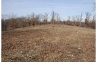 Property photo 28 - 745 Acres Offered in 16 Tracts