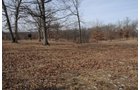 Property photo 132 - 745 Acres Offered in 16 Tracts