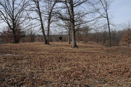 Property photo 76 - 745 Acres Offered in 16 Tracts