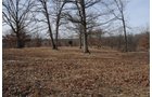 Property photo 76 - 745 Acres Offered in 16 Tracts