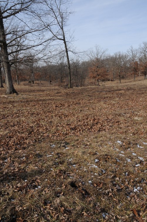 Property photo 179 - 745 Acres Offered in 16 Tracts