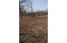 Property photo 179 - 745 Acres Offered in 16 Tracts