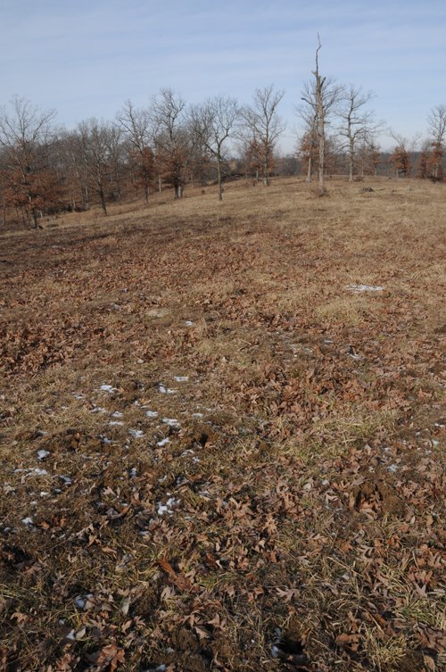 Property photo 9 - 745 Acres Offered in 16 Tracts