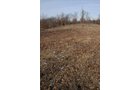 Property photo 9 - 745 Acres Offered in 16 Tracts