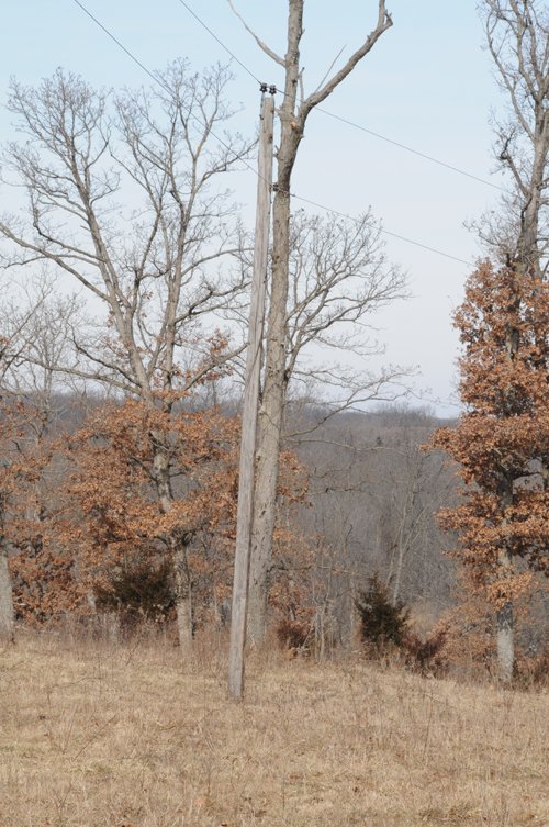 Property photo 53 - 745 Acres Offered in 16 Tracts