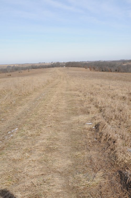 Property photo 32 - 745 Acres Offered in 16 Tracts