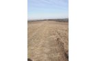 Property photo 32 - 745 Acres Offered in 16 Tracts