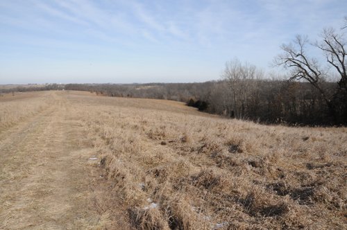 Property photo 115 - 745 Acres Offered in 16 Tracts