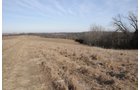 Property photo 115 - 745 Acres Offered in 16 Tracts