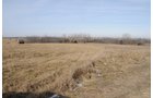 Property photo 169 - 745 Acres Offered in 16 Tracts