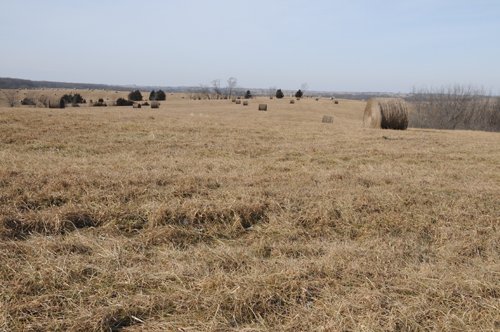 Property photo 205 - 745 Acres Offered in 16 Tracts