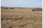 Property photo 205 - 745 Acres Offered in 16 Tracts