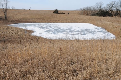 Property photo 168 - 745 Acres Offered in 16 Tracts