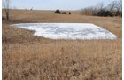 Property photo 168 - 745 Acres Offered in 16 Tracts