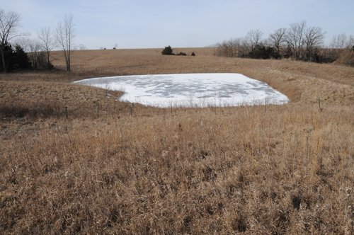 Property photo 152 - 745 Acres Offered in 16 Tracts