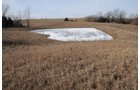 Property photo 152 - 745 Acres Offered in 16 Tracts