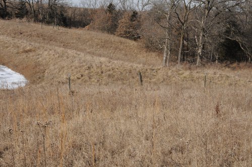 Property photo 158 - 745 Acres Offered in 16 Tracts