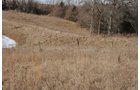 Property photo 158 - 745 Acres Offered in 16 Tracts