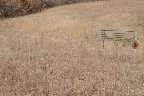Property photo 198 - 745 Acres Offered in 16 Tracts