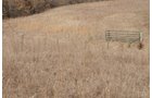 Property photo 198 - 745 Acres Offered in 16 Tracts
