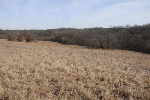Property photo 199 - 745 Acres Offered in 16 Tracts