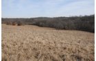 Property photo 199 - 745 Acres Offered in 16 Tracts