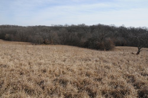 Property photo 83 - 745 Acres Offered in 16 Tracts
