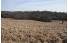Property photo 83 - 745 Acres Offered in 16 Tracts