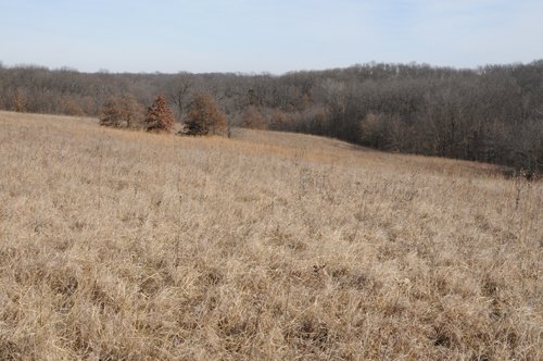 Property photo 117 - 745 Acres Offered in 16 Tracts