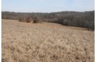 Property photo 117 - 745 Acres Offered in 16 Tracts