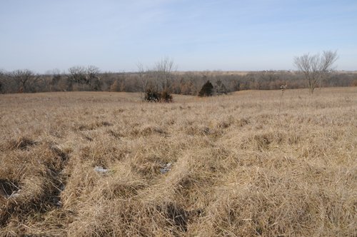 Property photo 137 - 745 Acres Offered in 16 Tracts