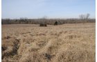 Property photo 137 - 745 Acres Offered in 16 Tracts