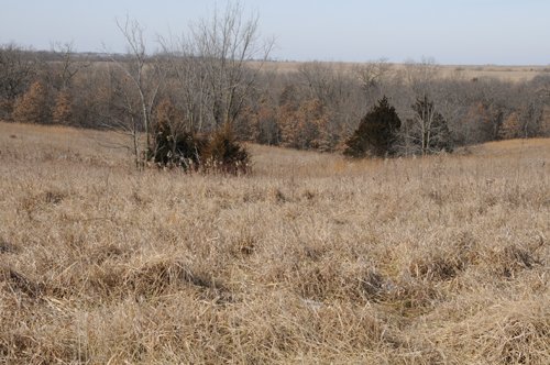 Property photo 113 - 745 Acres Offered in 16 Tracts