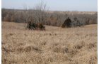 Property photo 113 - 745 Acres Offered in 16 Tracts